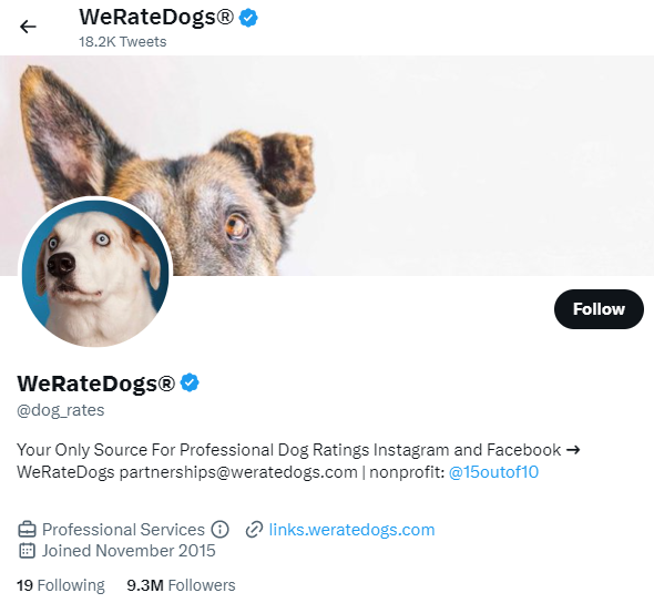 We rate Dogs best twitter accounts