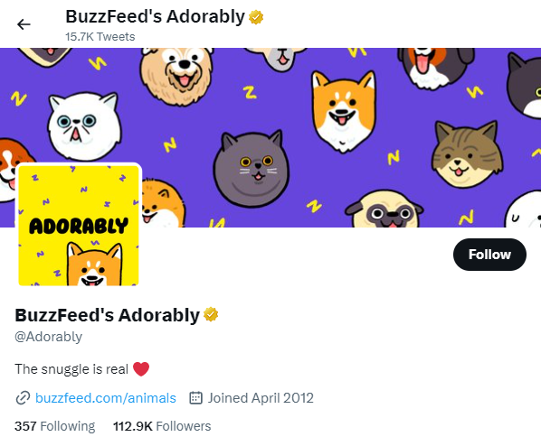 Adorably best twitter accounts